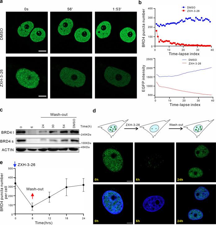 https://cdn.ncbi.nlm.nih.gov/pmc/blobs/efb2/10167318/505cc259e71e/41421_2023_544_Fig3_HTML.jpg
