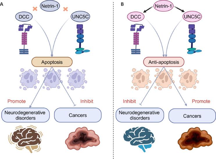 https://cdn.ncbi.nlm.nih.gov/pmc/blobs/efb2/11438344/7b1b85382940/NRR-20-960-g003.jpg