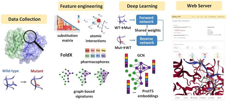 https://cdn.ncbi.nlm.nih.gov/pmc/blobs/efb3/11223791/bf6e974da427/gkae412fig1.jpg