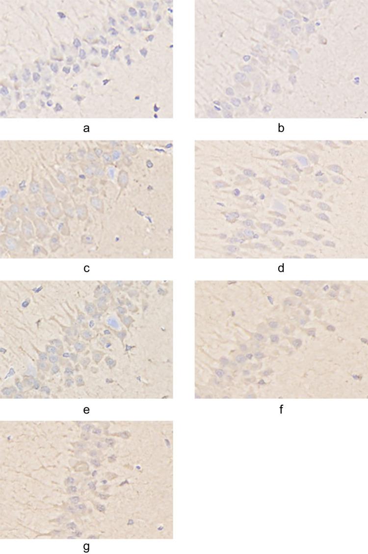 https://cdn.ncbi.nlm.nih.gov/pmc/blobs/efb5/12035751/44ee78c953a9/DNND-15-41-g0007.jpg