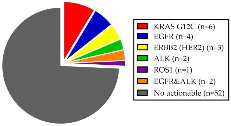 https://cdn.ncbi.nlm.nih.gov/pmc/blobs/efb5/12109736/9f79703ffaa9/curroncol-32-00274-g002.jpg