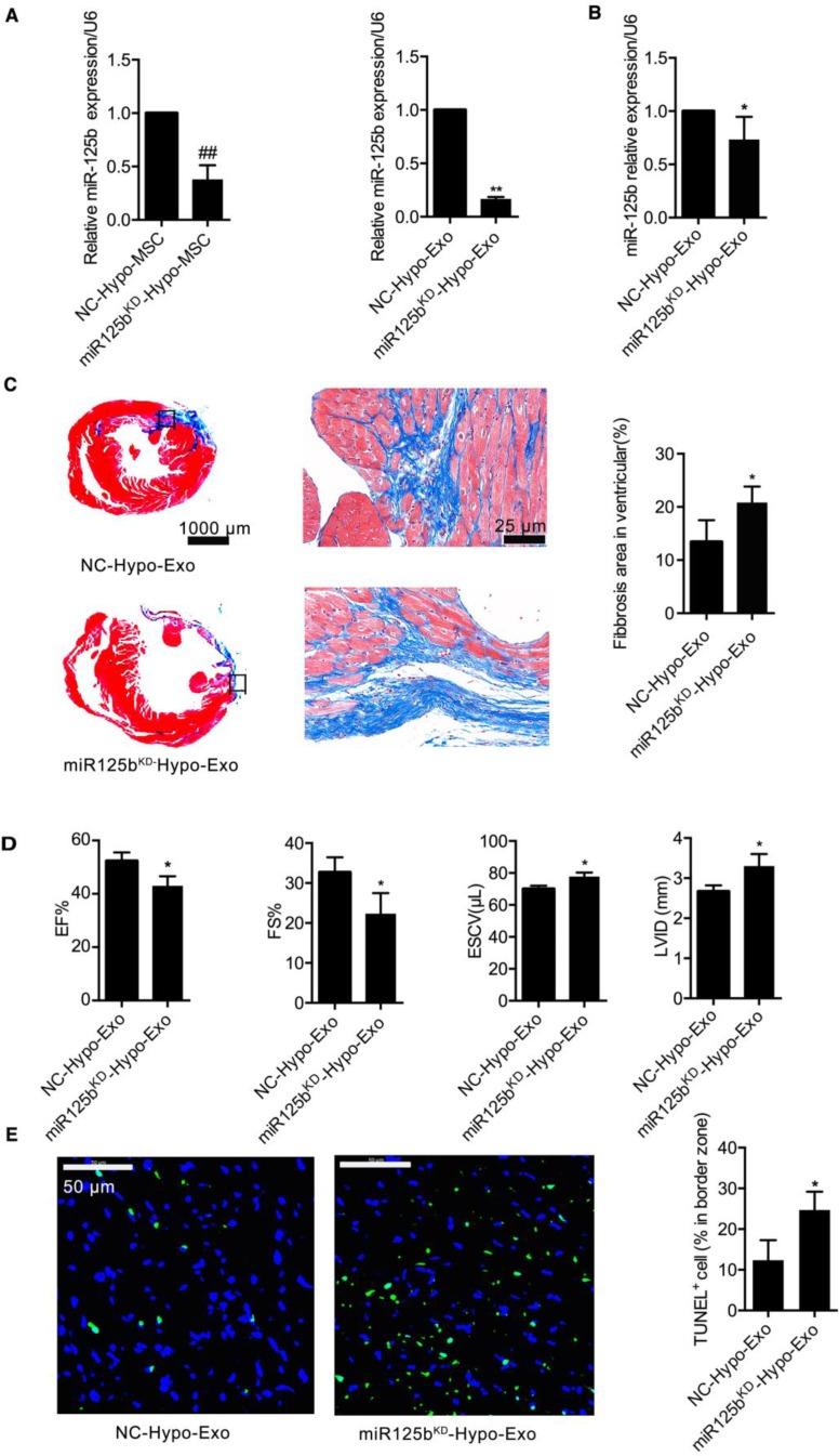 https://cdn.ncbi.nlm.nih.gov/pmc/blobs/efb5/6299684/12bbd5cdf8a7/thnov08p6163g004.jpg