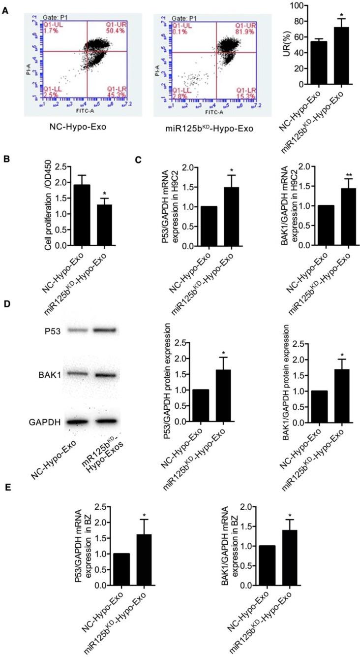 https://cdn.ncbi.nlm.nih.gov/pmc/blobs/efb5/6299684/38cc80bf16c5/thnov08p6163g005.jpg