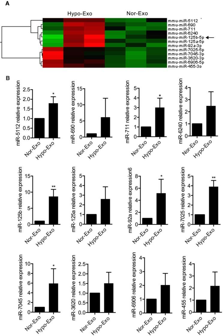 https://cdn.ncbi.nlm.nih.gov/pmc/blobs/efb5/6299684/645a1ad6c4f6/thnov08p6163g003.jpg