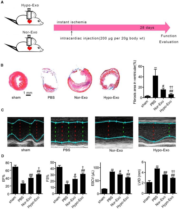 https://cdn.ncbi.nlm.nih.gov/pmc/blobs/efb5/6299684/981e04ea07a2/thnov08p6163g002.jpg