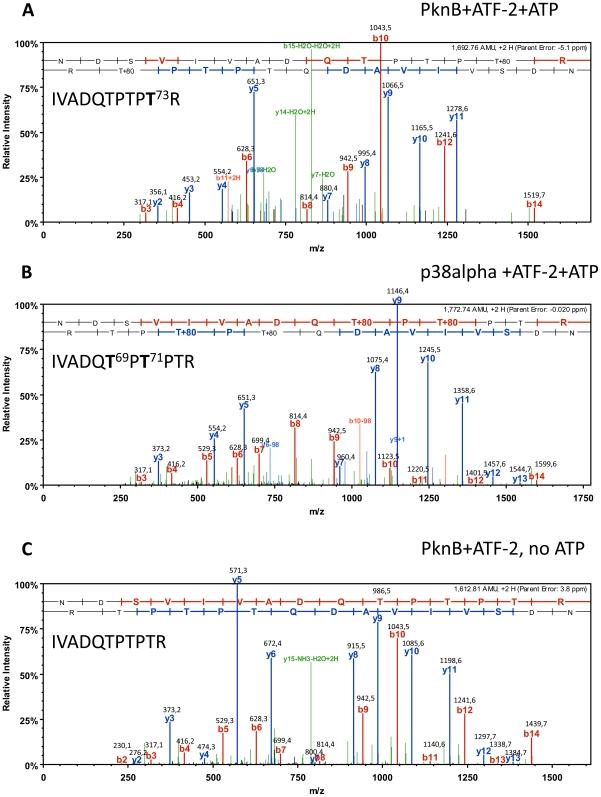 https://cdn.ncbi.nlm.nih.gov/pmc/blobs/efb8/2816222/ad1d37429205/pone.0009057.g002.jpg