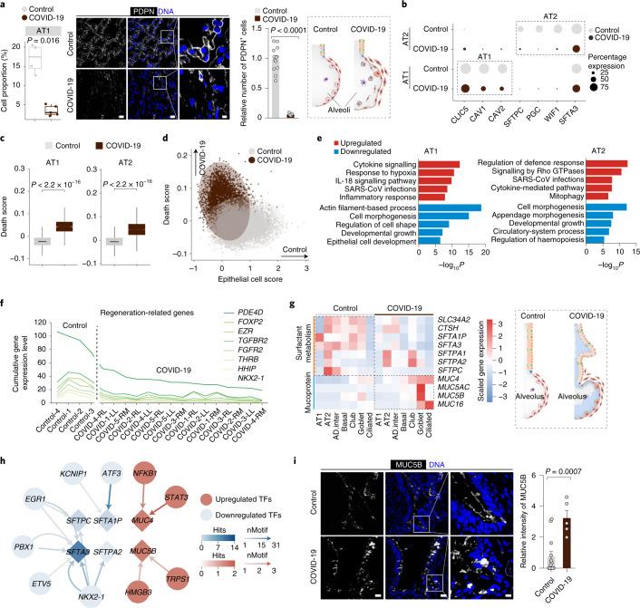 https://cdn.ncbi.nlm.nih.gov/pmc/blobs/efb8/8650955/0a010a016d6a/41556_2021_796_Fig5_HTML.jpg