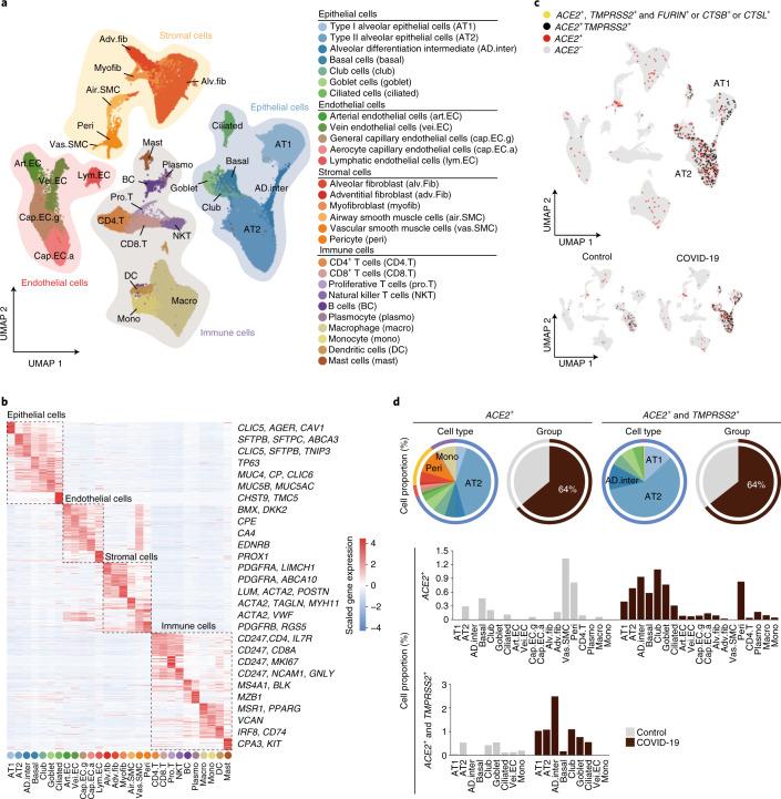https://cdn.ncbi.nlm.nih.gov/pmc/blobs/efb8/8650955/1f684134bba7/41556_2021_796_Fig2_HTML.jpg