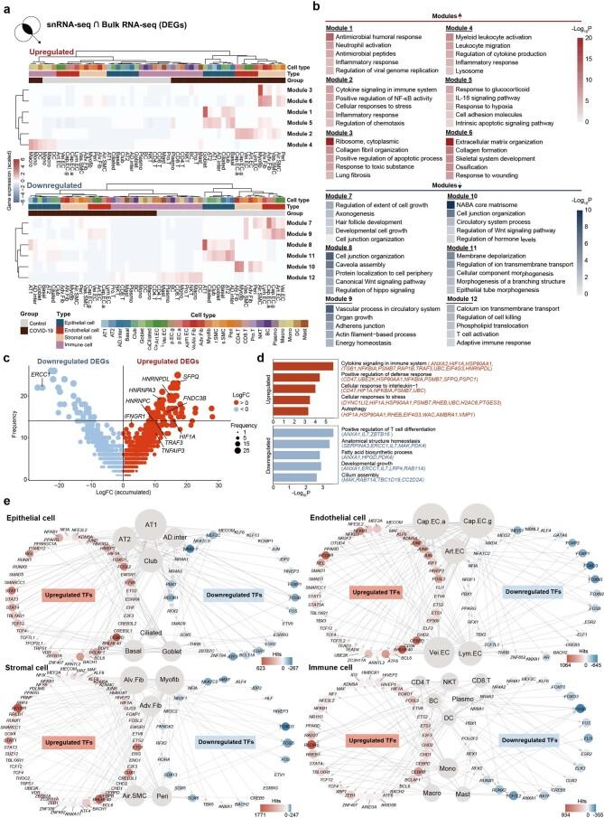 https://cdn.ncbi.nlm.nih.gov/pmc/blobs/efb8/8650955/6398e559a721/41556_2021_796_Fig11_ESM.jpg