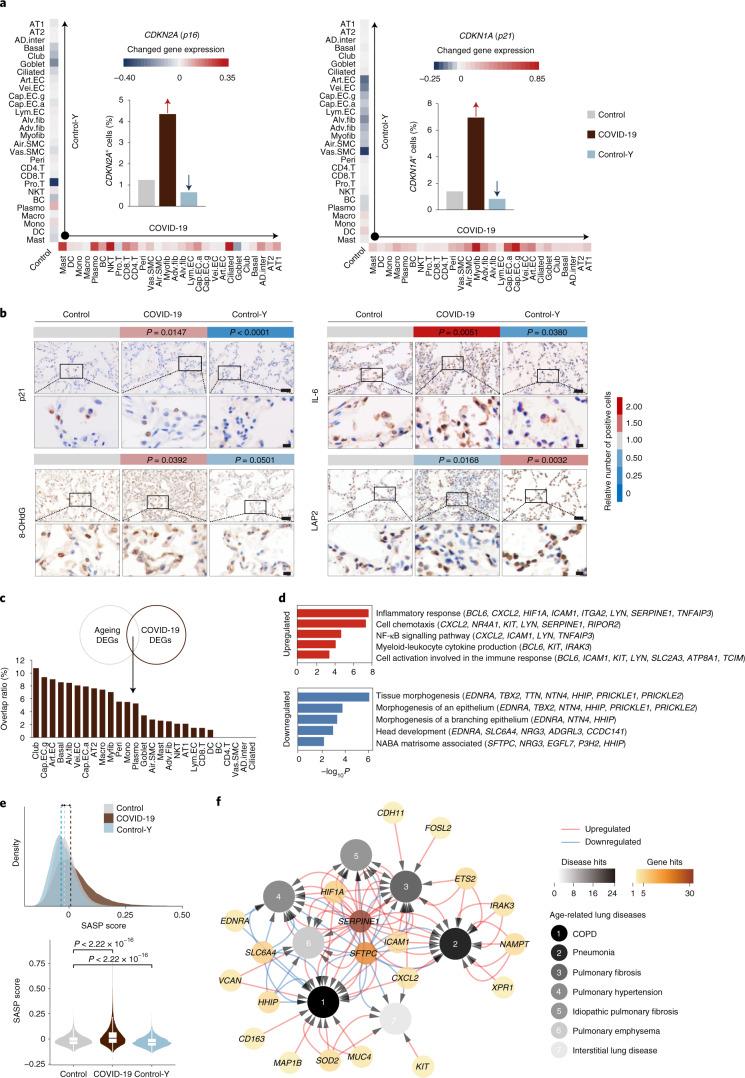 https://cdn.ncbi.nlm.nih.gov/pmc/blobs/efb8/8650955/6802ab31fac0/41556_2021_796_Fig4_HTML.jpg