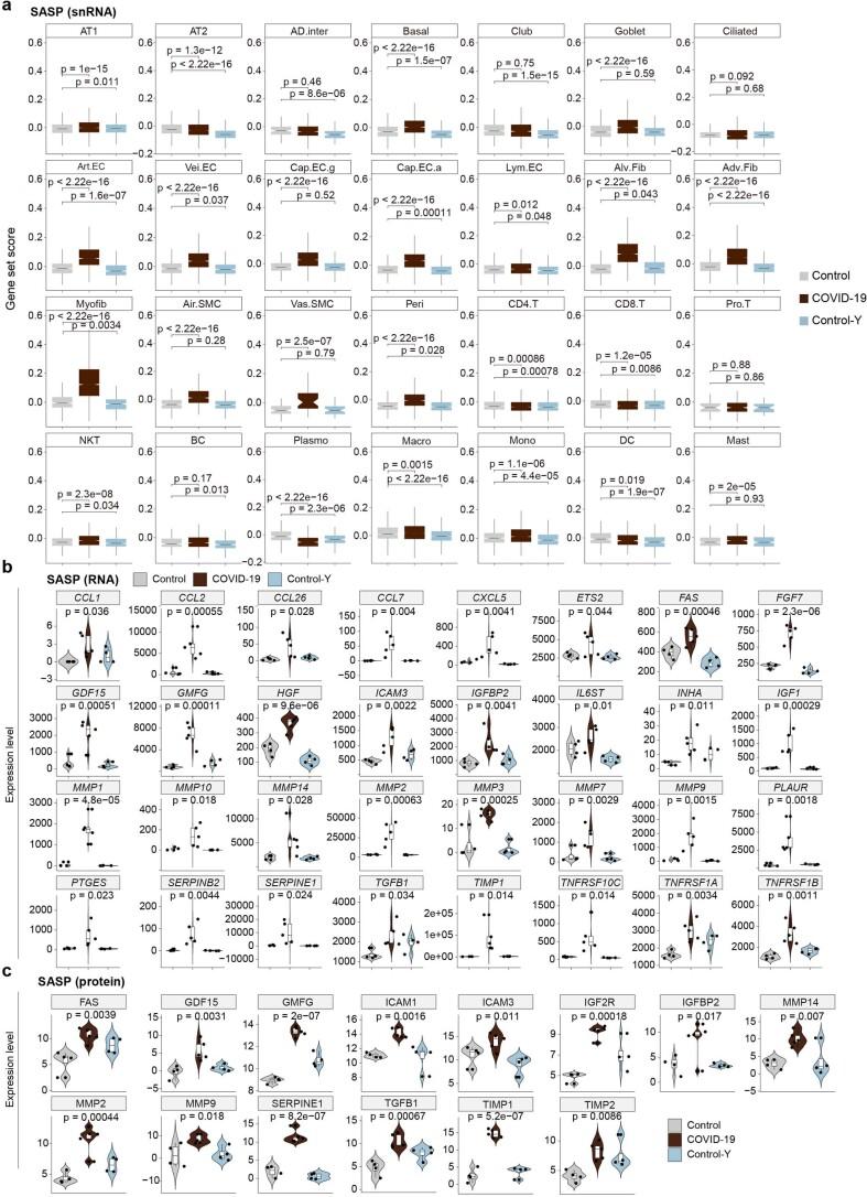 https://cdn.ncbi.nlm.nih.gov/pmc/blobs/efb8/8650955/763527b5d111/41556_2021_796_Fig13_ESM.jpg