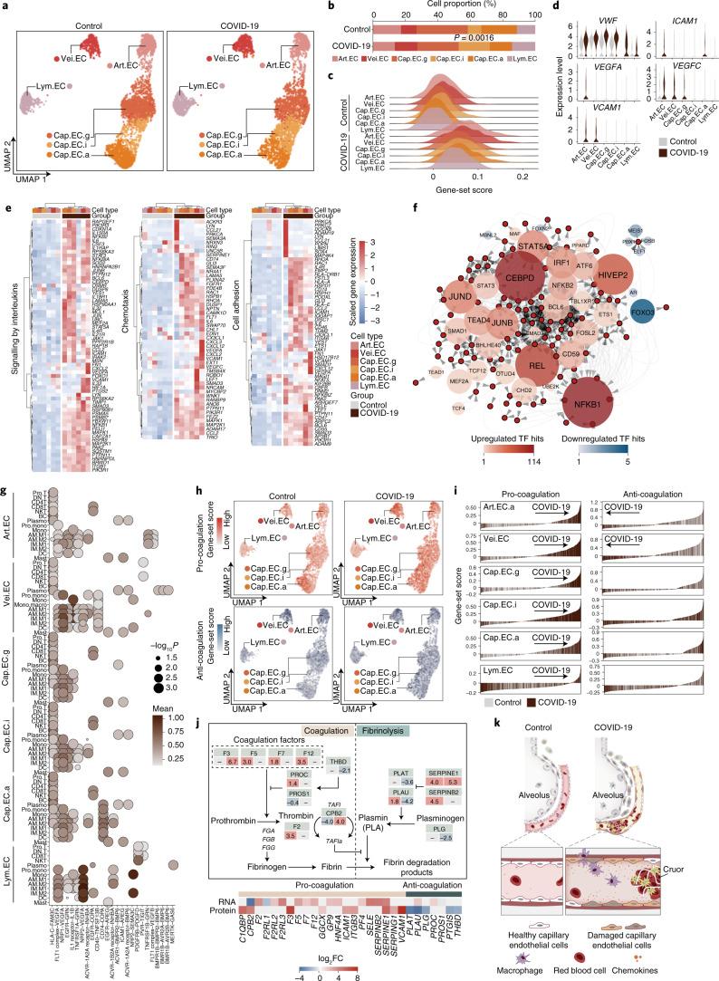 https://cdn.ncbi.nlm.nih.gov/pmc/blobs/efb8/8650955/a8fd14753080/41556_2021_796_Fig7_HTML.jpg