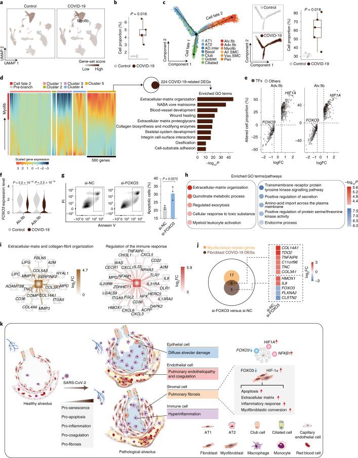https://cdn.ncbi.nlm.nih.gov/pmc/blobs/efb8/8650955/ac952944250d/41556_2021_796_Fig8_HTML.jpg