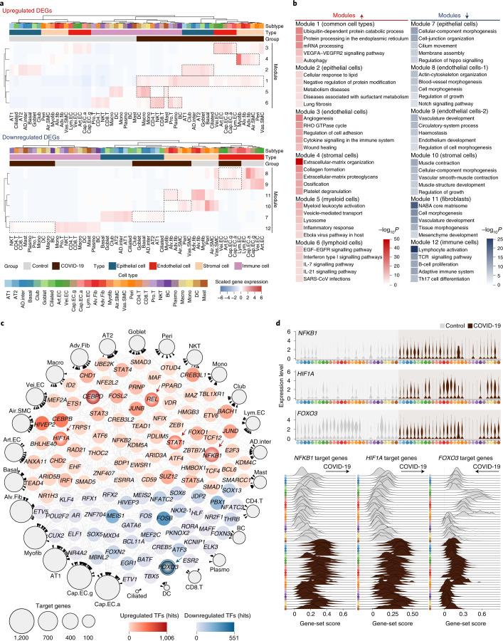 https://cdn.ncbi.nlm.nih.gov/pmc/blobs/efb8/8650955/ada690e689bf/41556_2021_796_Fig3_HTML.jpg