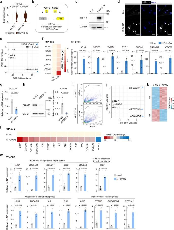 https://cdn.ncbi.nlm.nih.gov/pmc/blobs/efb8/8650955/b19a507c7e98/41556_2021_796_Fig16_ESM.jpg