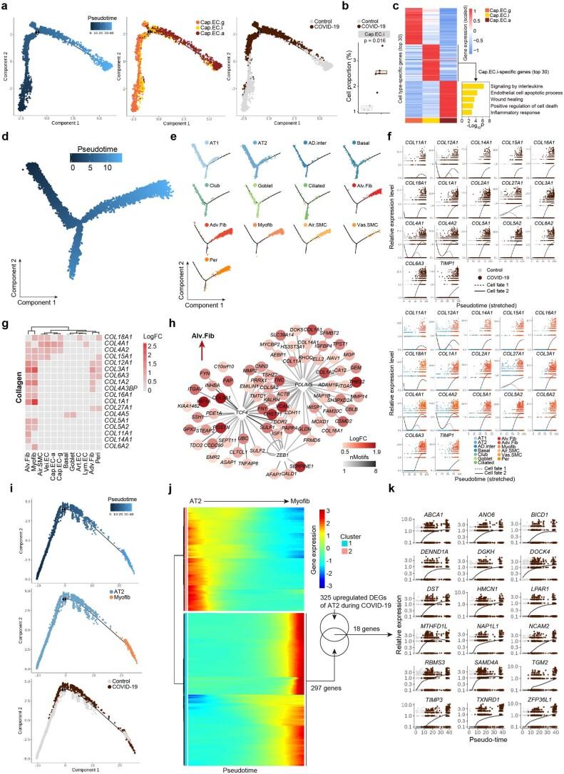 https://cdn.ncbi.nlm.nih.gov/pmc/blobs/efb8/8650955/bc9c03d63a33/41556_2021_796_Fig15_ESM.jpg