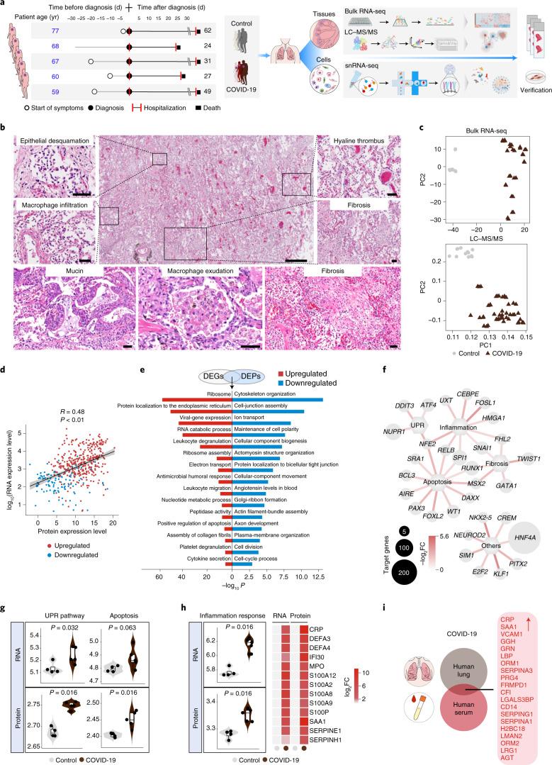 https://cdn.ncbi.nlm.nih.gov/pmc/blobs/efb8/8650955/efd8986d7768/41556_2021_796_Fig1_HTML.jpg