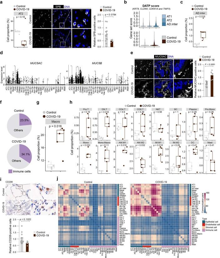 https://cdn.ncbi.nlm.nih.gov/pmc/blobs/efb8/8650955/f25ef226d584/41556_2021_796_Fig14_ESM.jpg