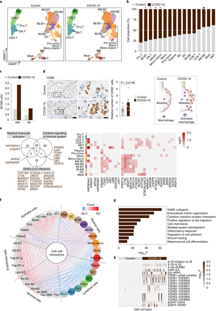 https://cdn.ncbi.nlm.nih.gov/pmc/blobs/efb8/8650955/f4ba8653a3ef/41556_2021_796_Fig6_HTML.jpg