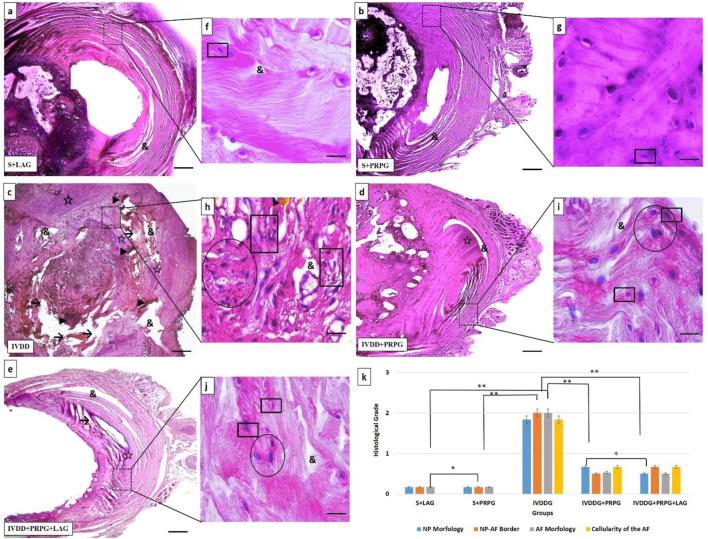 https://cdn.ncbi.nlm.nih.gov/pmc/blobs/efba/12213543/35e6dfd4d0d5/fbioe-13-1613148-g002.jpg