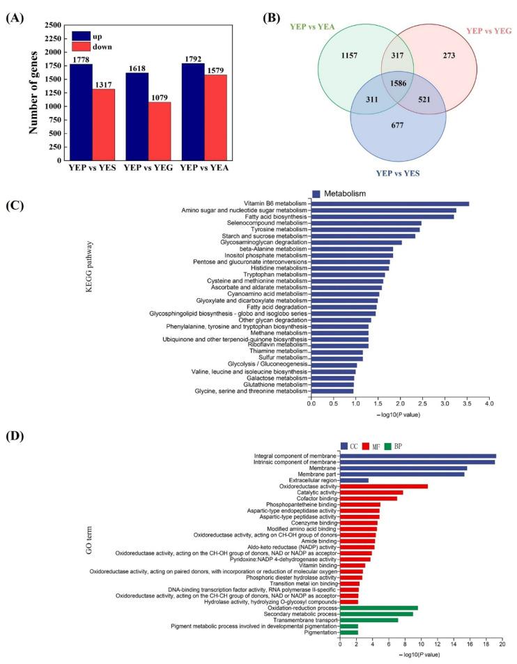 https://cdn.ncbi.nlm.nih.gov/pmc/blobs/efba/9415321/8c409454c6a3/toxins-14-00551-g003.jpg