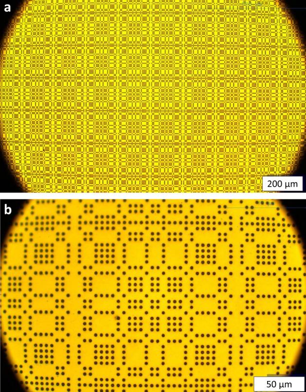 https://cdn.ncbi.nlm.nih.gov/pmc/blobs/efbd/9633642/fec35ac9908f/41598_2022_23338_Fig4_HTML.jpg