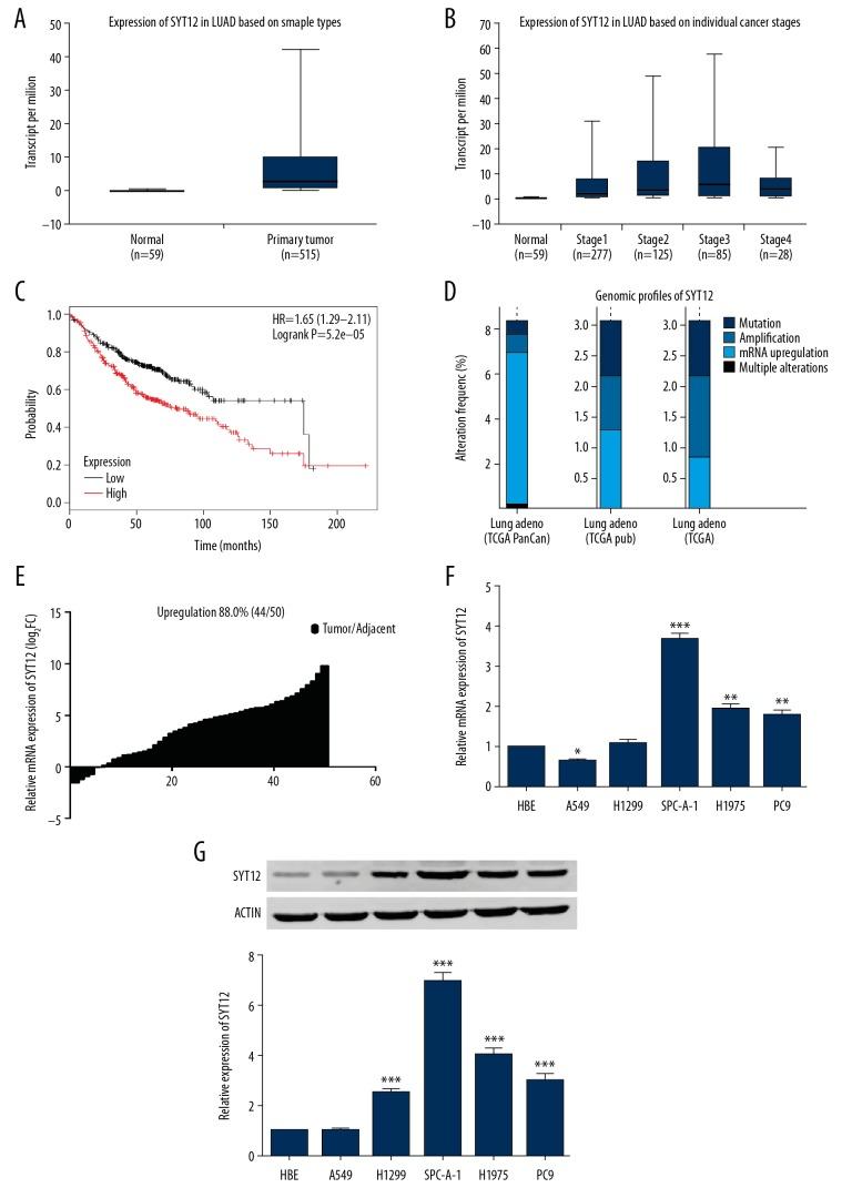 https://cdn.ncbi.nlm.nih.gov/pmc/blobs/efc0/7063850/72614481261d/medscimonit-26-e920351-g001.jpg
