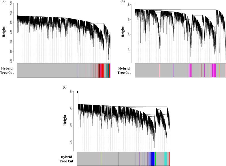 https://cdn.ncbi.nlm.nih.gov/pmc/blobs/efc0/8393454/68ee7ba9c7e0/12985_2021_1643_Fig2_HTML.jpg