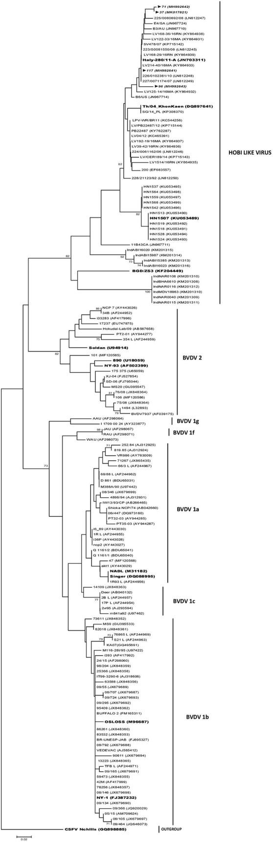 https://cdn.ncbi.nlm.nih.gov/pmc/blobs/efc3/6805694/13ac7399b9e4/fvets-06-00359-g0001.jpg