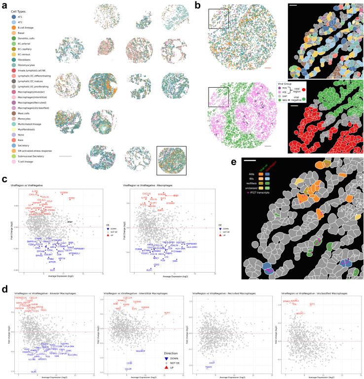 https://cdn.ncbi.nlm.nih.gov/pmc/blobs/efc4/10884333/0c6dda7855fa/gr1.jpg