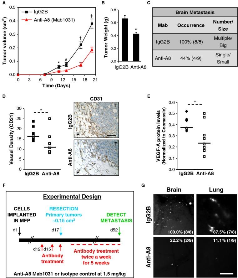 https://cdn.ncbi.nlm.nih.gov/pmc/blobs/efc4/3927960/3d2e51573c10/emmm0006-0278-f7.jpg