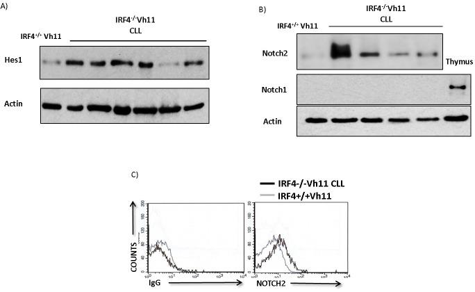 https://cdn.ncbi.nlm.nih.gov/pmc/blobs/efc4/5173044/98e5b7b6618e/oncotarget-07-41081-g001.jpg