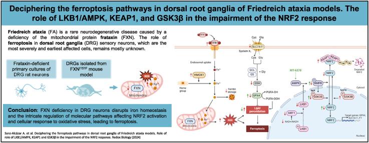 https://cdn.ncbi.nlm.nih.gov/pmc/blobs/efc7/11408871/d5e2390fbbda/ga1.jpg