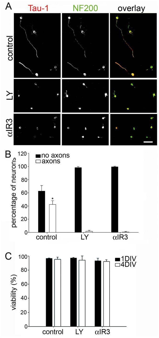 https://cdn.ncbi.nlm.nih.gov/pmc/blobs/efc7/3548777/528eb6846fde/pone.0054462.g003.jpg