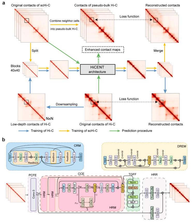 https://cdn.ncbi.nlm.nih.gov/pmc/blobs/efc8/11940666/b20e8ad88fb8/biology-14-00288-g001.jpg