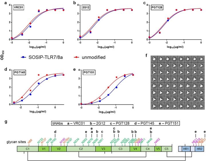 https://cdn.ncbi.nlm.nih.gov/pmc/blobs/efca/9546345/46ff8c786bf5/CBIC-23-0-g003.jpg
