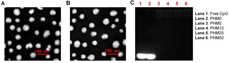 https://cdn.ncbi.nlm.nih.gov/pmc/blobs/efcc/5695138/874e503e6e79/thnov07p4383g002.jpg
