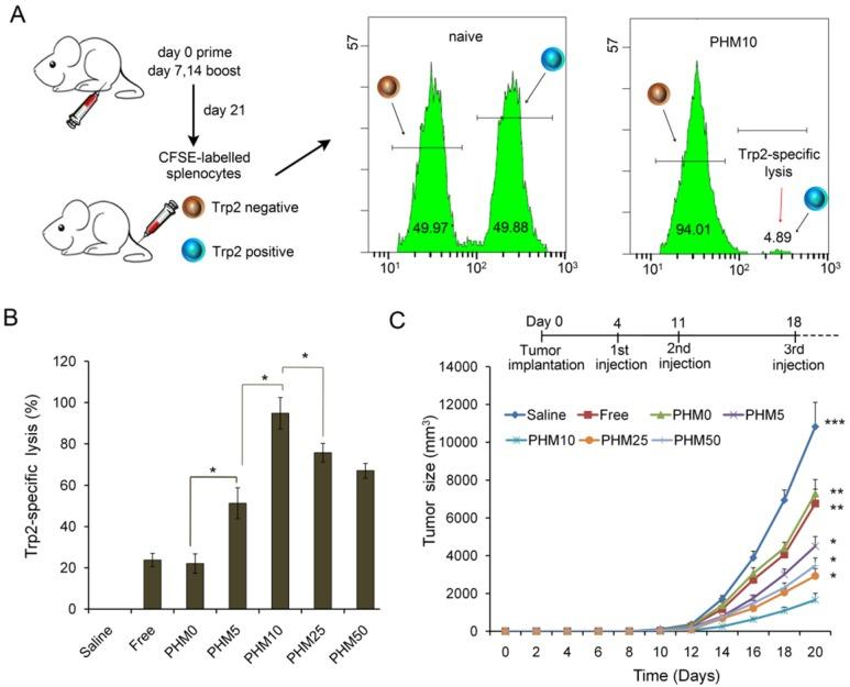 https://cdn.ncbi.nlm.nih.gov/pmc/blobs/efcc/5695138/ee88bbd98096/thnov07p4383g007.jpg