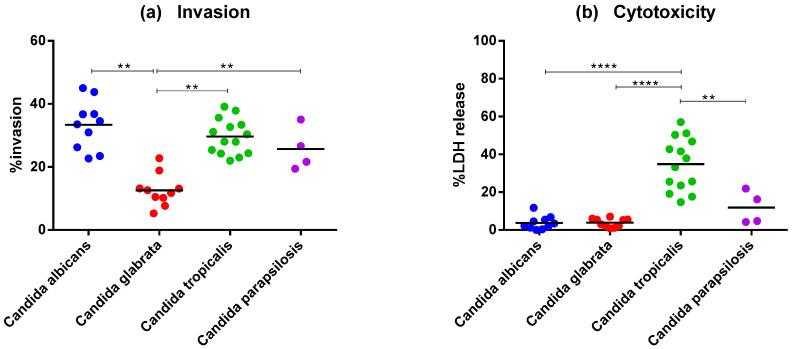 https://cdn.ncbi.nlm.nih.gov/pmc/blobs/efcd/10059995/39dd3ade60c4/jof-09-00353-g003.jpg