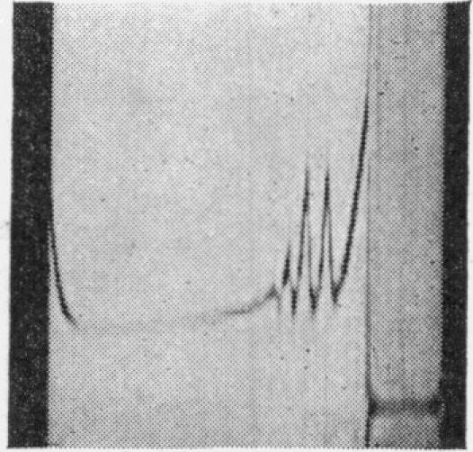 https://cdn.ncbi.nlm.nih.gov/pmc/blobs/efce/1270565/dd6e8e5cec00/biochemj00741-0242-b.jpg