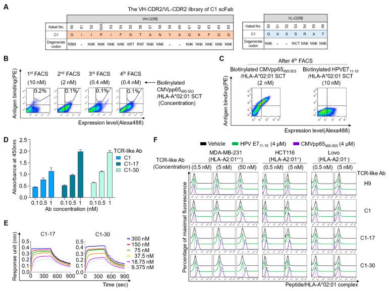 https://cdn.ncbi.nlm.nih.gov/pmc/blobs/efce/7956451/6b2d4f802368/ijms-22-02349-g003.jpg