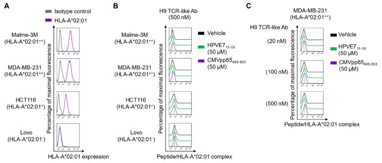 https://cdn.ncbi.nlm.nih.gov/pmc/blobs/efce/7956451/71e4d682bcbf/ijms-22-02349-g001.jpg