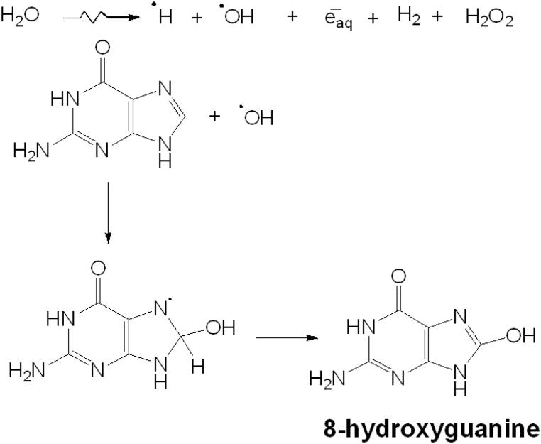 https://cdn.ncbi.nlm.nih.gov/pmc/blobs/efcf/10196509/3e34ea24b21a/gr10.jpg