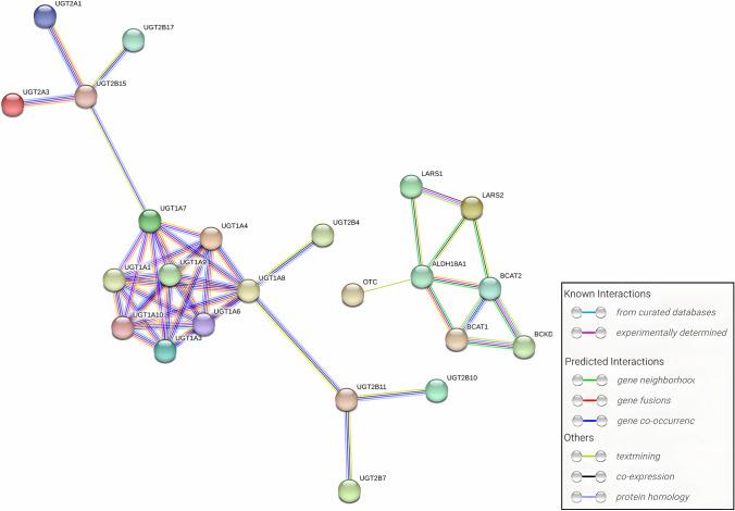 https://cdn.ncbi.nlm.nih.gov/pmc/blobs/efcf/11269474/5cc95a934f04/384_2024_4686_Fig5_HTML.jpg