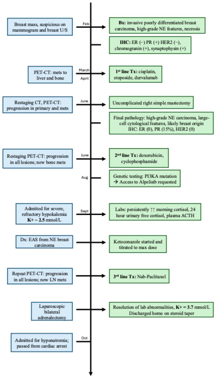 https://cdn.ncbi.nlm.nih.gov/pmc/blobs/efd1/12026433/8700075c6641/curroncol-32-00205-g001.jpg