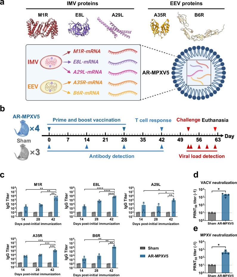 https://cdn.ncbi.nlm.nih.gov/pmc/blobs/efd2/11621575/f7813d6e2f92/41467_2024_54909_Fig1_HTML.jpg