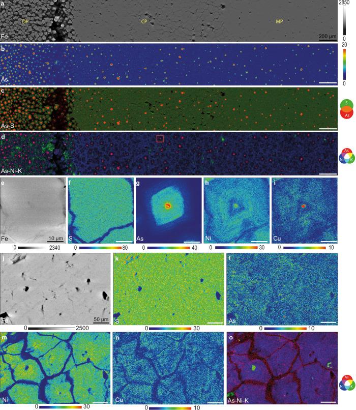 https://cdn.ncbi.nlm.nih.gov/pmc/blobs/efd3/12089615/8352b5815f51/41467_2025_59760_Fig4_HTML.jpg