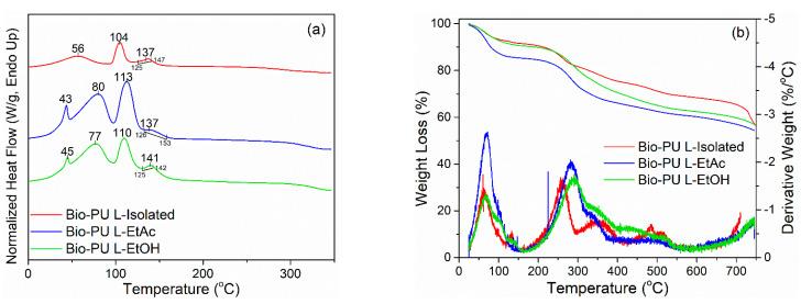 https://cdn.ncbi.nlm.nih.gov/pmc/blobs/efd6/9182894/105565648660/polymers-14-02165-g004.jpg
