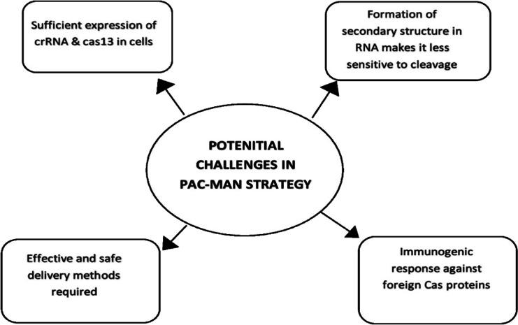 https://cdn.ncbi.nlm.nih.gov/pmc/blobs/efd6/9411046/49def2b89dd3/253_2022_12135_Fig3_HTML.jpg