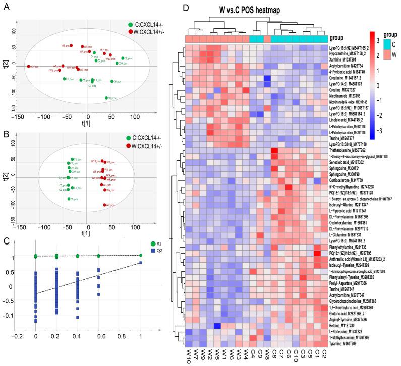https://cdn.ncbi.nlm.nih.gov/pmc/blobs/efd7/10855946/280bad815b72/ijms-25-01651-g005.jpg